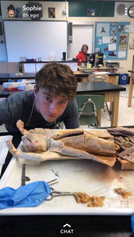 Jonah Lindquist