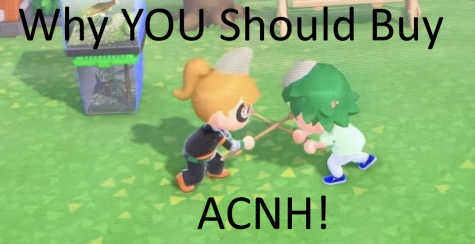 Why YOU need Animal Crossing New Horizons