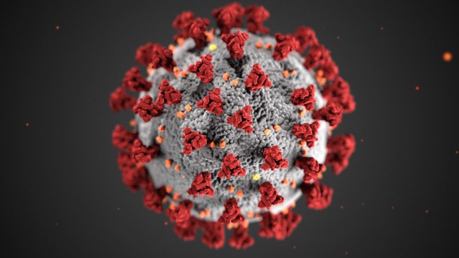 Top Five Coronavirus Theories