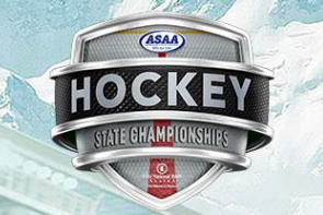 Houston Hawks Take DII Hockey State Championship
